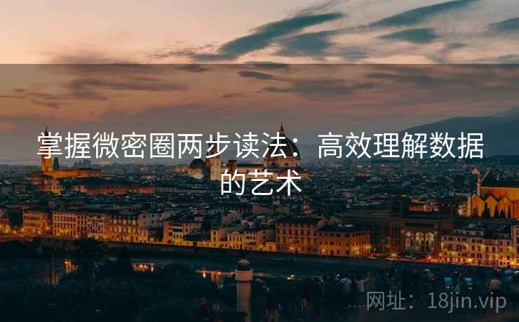 掌握微密圈两步读法：高效理解数据的艺术