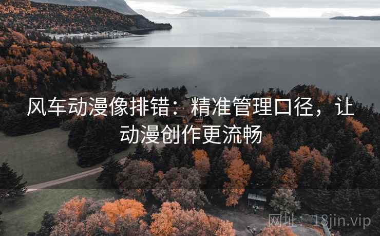 风车动漫像排错：精准管理口径，让动漫创作更流畅
